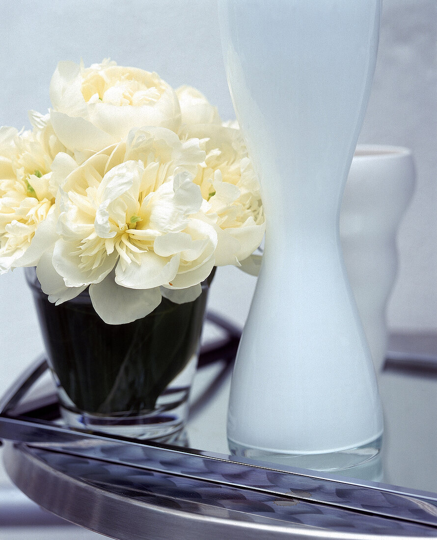 Gelbe Blumen im niedrigen Glas, neben schlanken, weißen Vasen