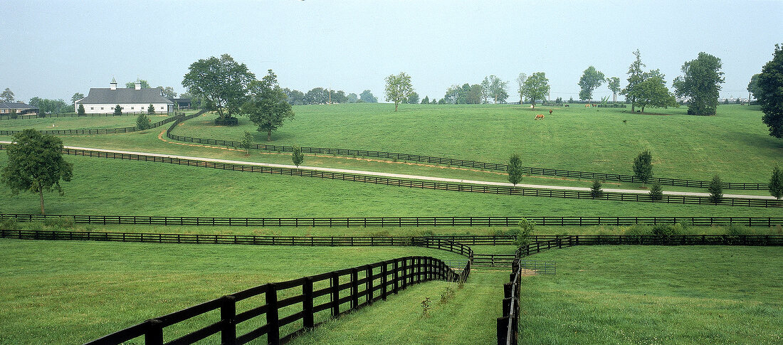 Landschaftspanorama im Staat Kentucky