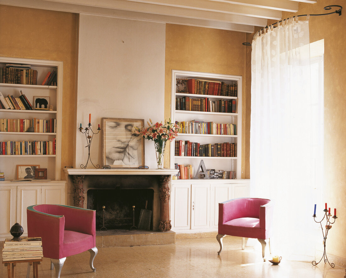 Living room with fireplace, white bookcase and two pink armchair