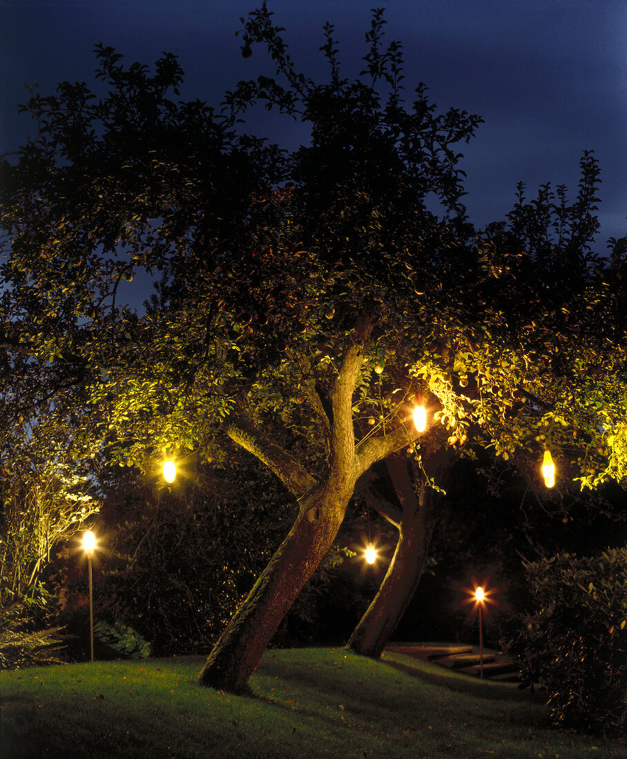 Beleuchteter Garten - Lampen im Apfelbaum und Steckleuchte im Rasen