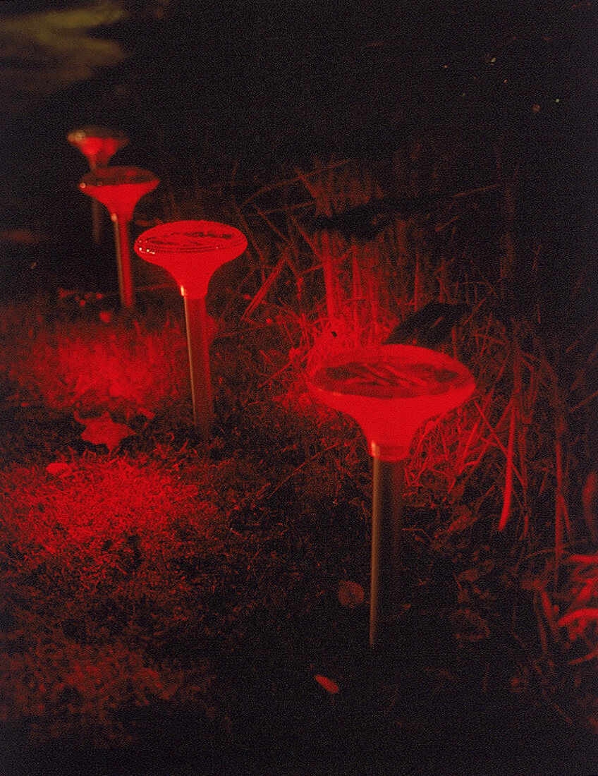 Beleuchteter Garten - rot leuchtende 'Solar Buds', schnurlos