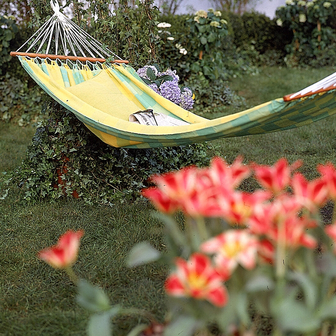 Hängematte im Garten, gelb-grün kariert.