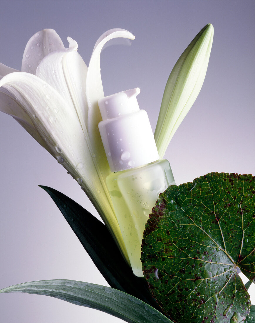 Close-up of water droplets on white lily blossom and spray bottle 