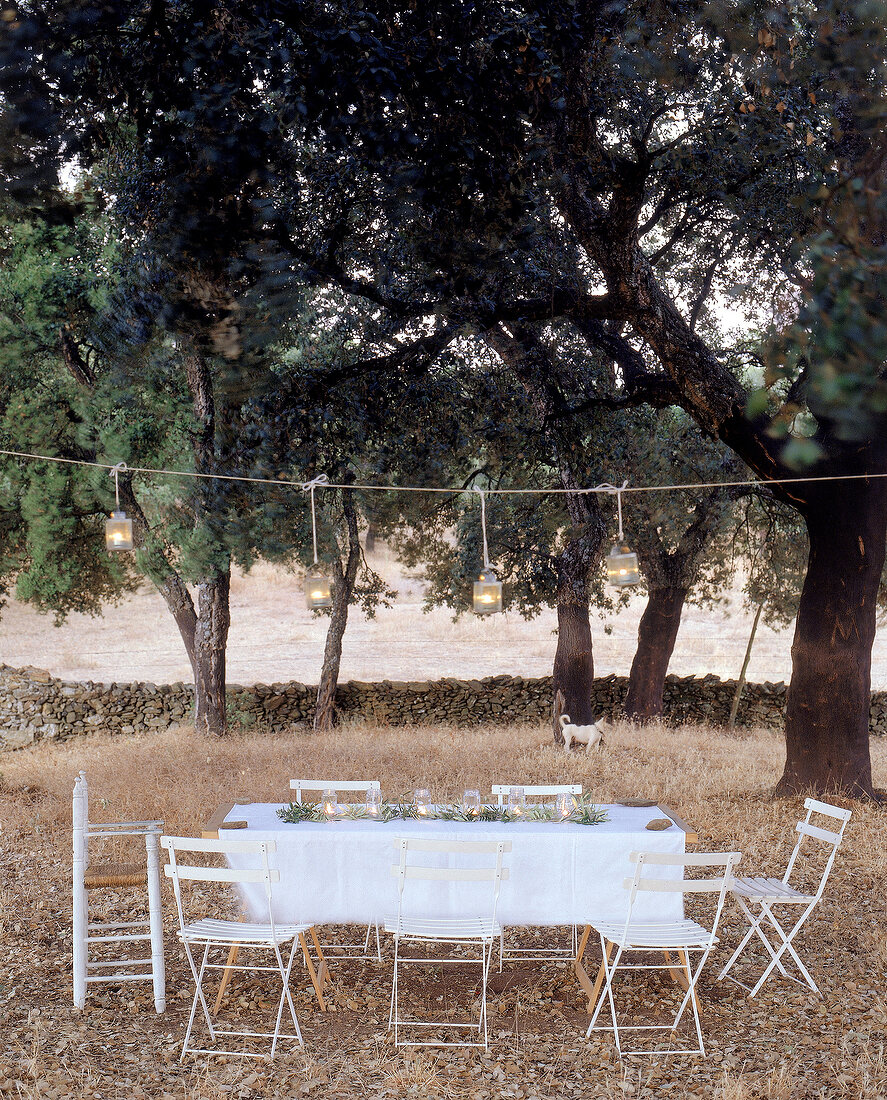 Tisch mit weißem Tischtuch steht im Freien unter Bäumen, weiße Stühle