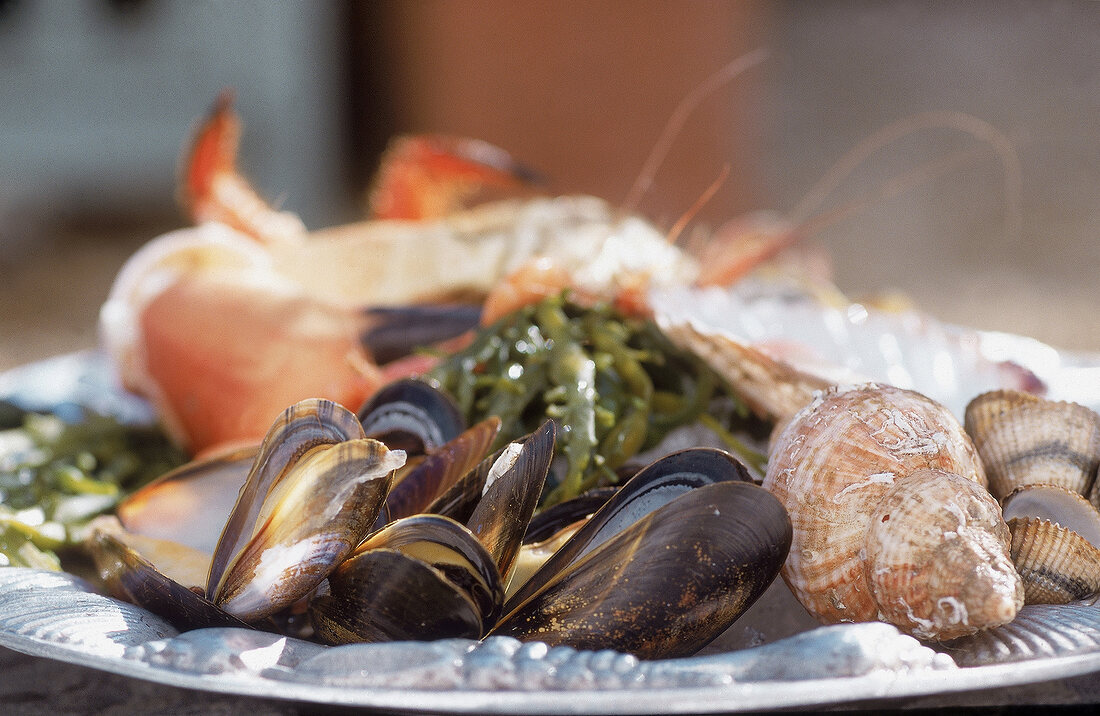 Cornische Küche: Wellhornschnecken mit Muscheln u.Algensalat