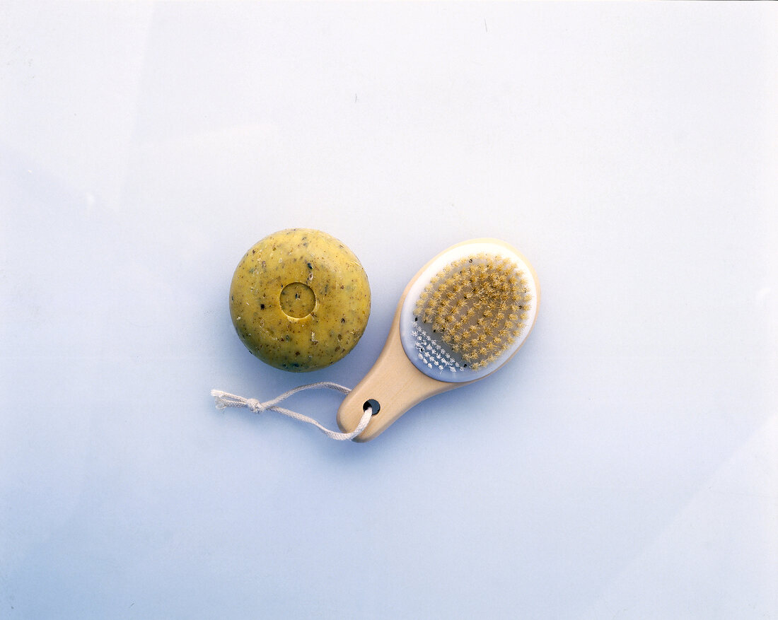 Seaweed soap and mini brush with cactus fibers on white surface