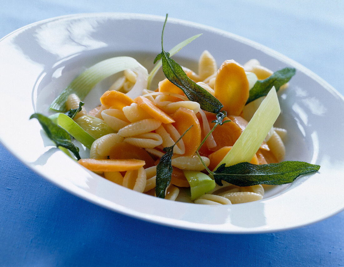 Pasta shells with carrots slices and sage on plate