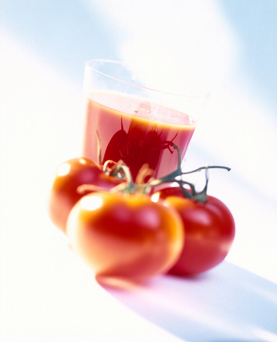 Glass of tomato juice with vine tomatoes on white background