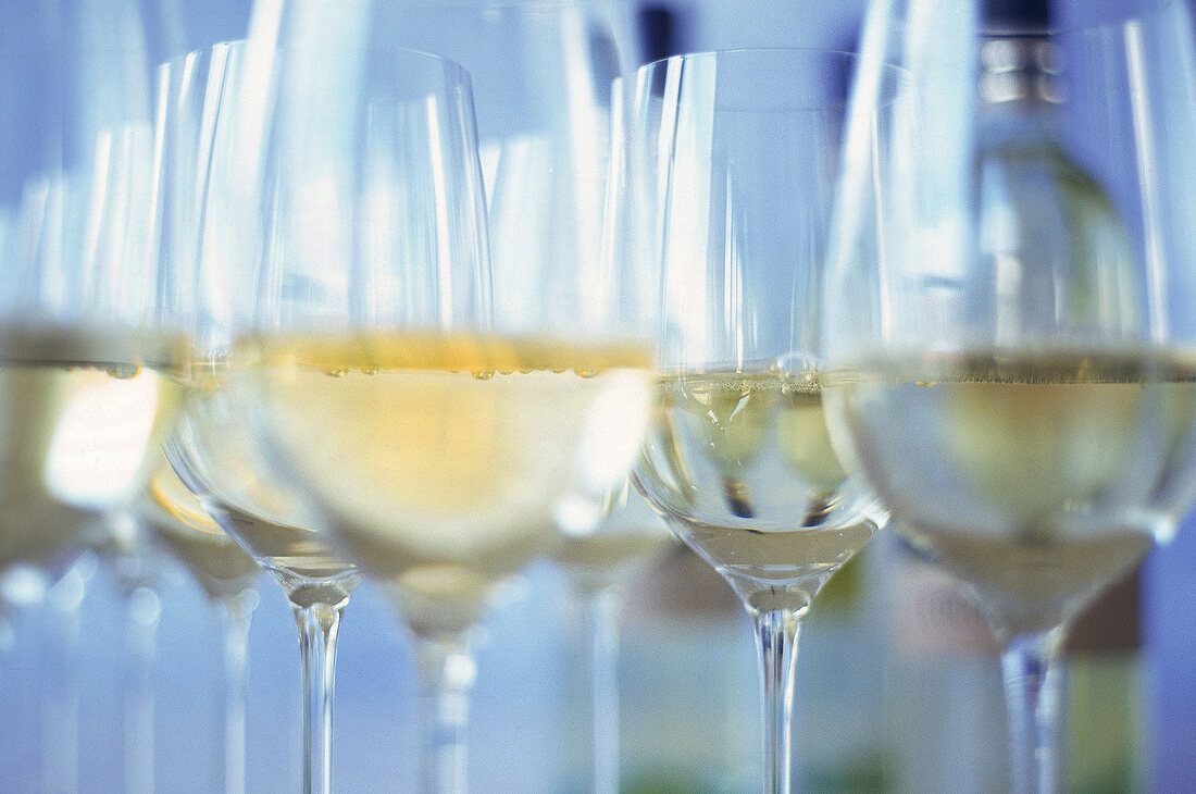 Mehrere Weingläser, gefüllt mit Weißwein stehen in Zweierreihe