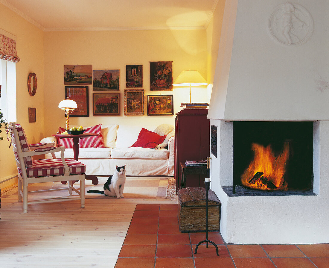 Living room with chairs, fireplace and cat sitting on floor