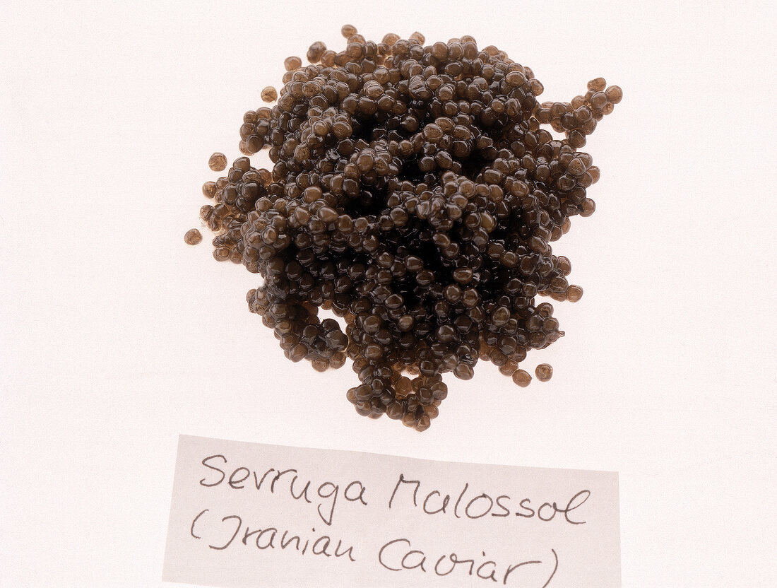 Hellgrauer Sevruga-Kaviar 