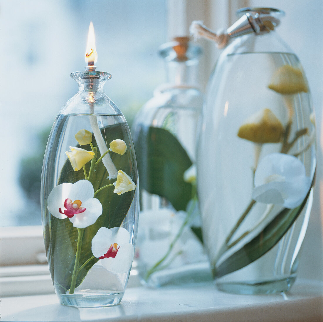 Öllampen aus Glas, in denen Seiden- Orchideen schwimmen