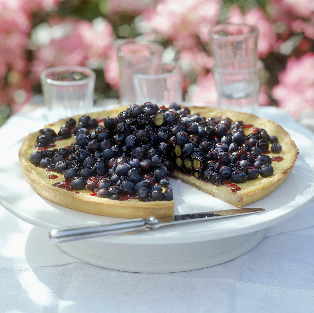 Heidelbeertarte auf einem weissen Tortenteller