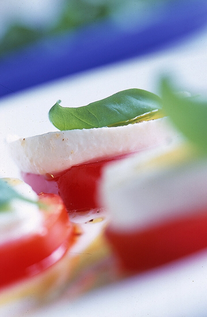 Mozzarella Caprese; Basilikum, Tomate, Olivenöl, close-up mit Unschärfe