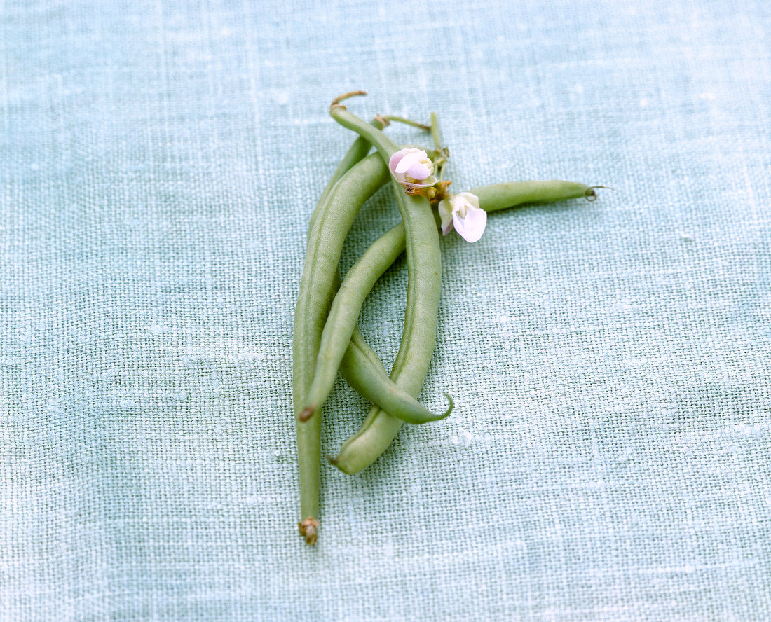 French beans with flower on table