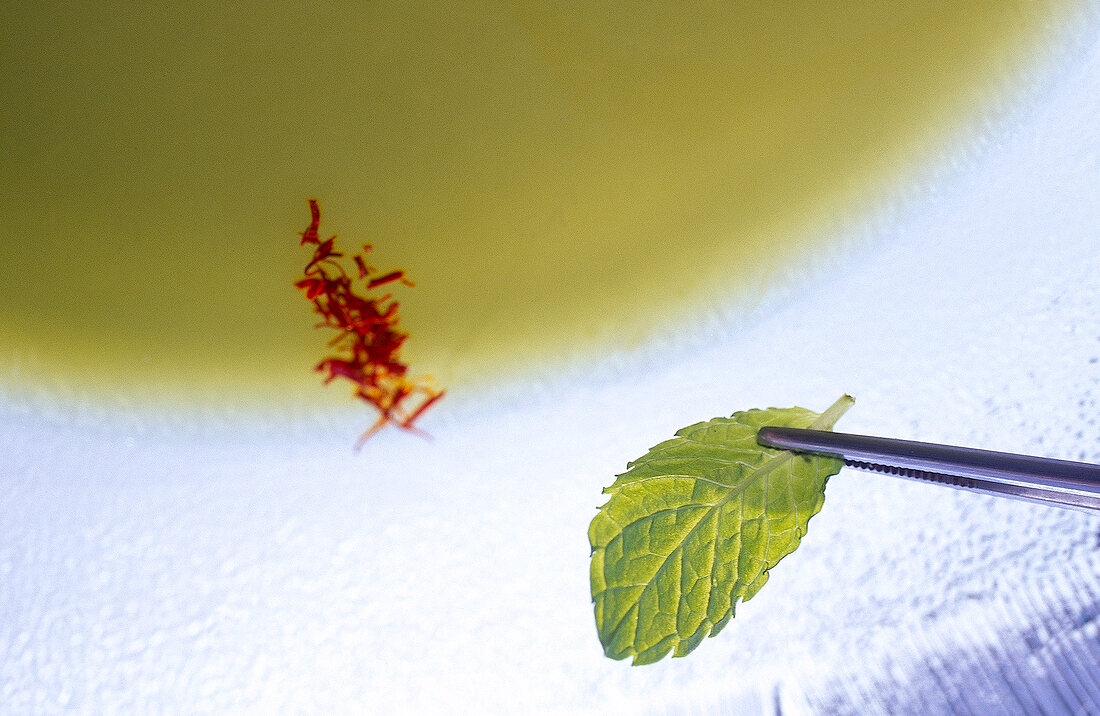 Close-up of mint leaf being added to apple gelatin with twelve spices