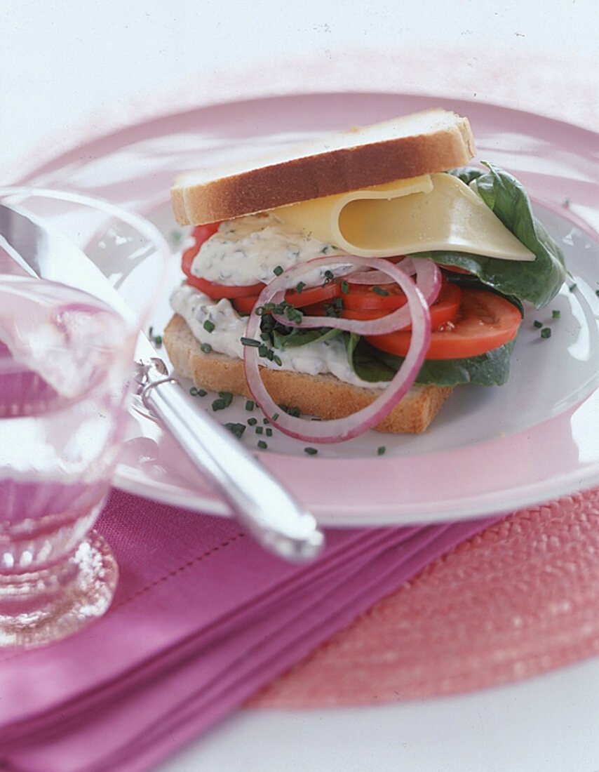 Sandwich mit Joghurt, Tomate, Salat Käse und Zwiebeln