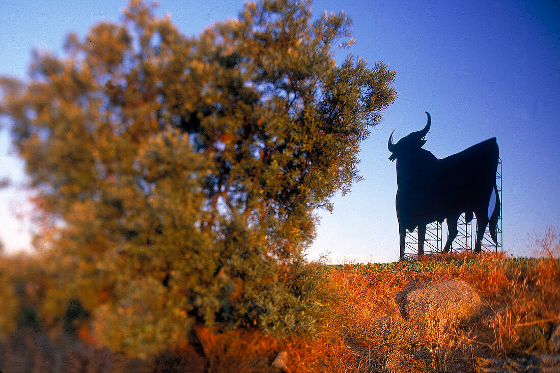 Oversized bull as a trade-mark of Bodega Osborne