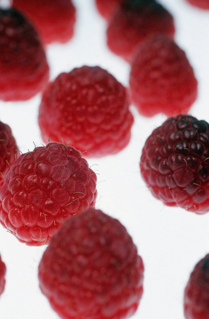 Himbeeren auf scheinendem Untergrund - Still