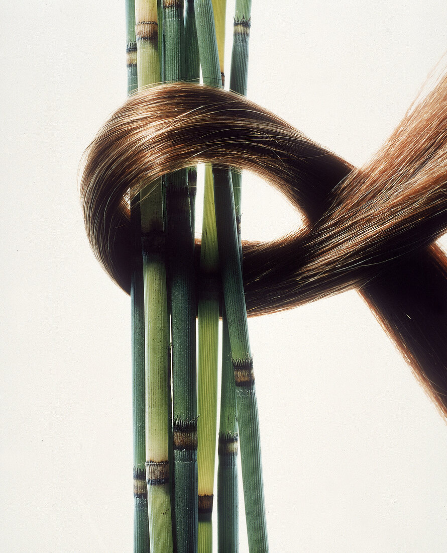 Eine Haarsträhne ist um dünne, grüne Bambusstangen gelegt
