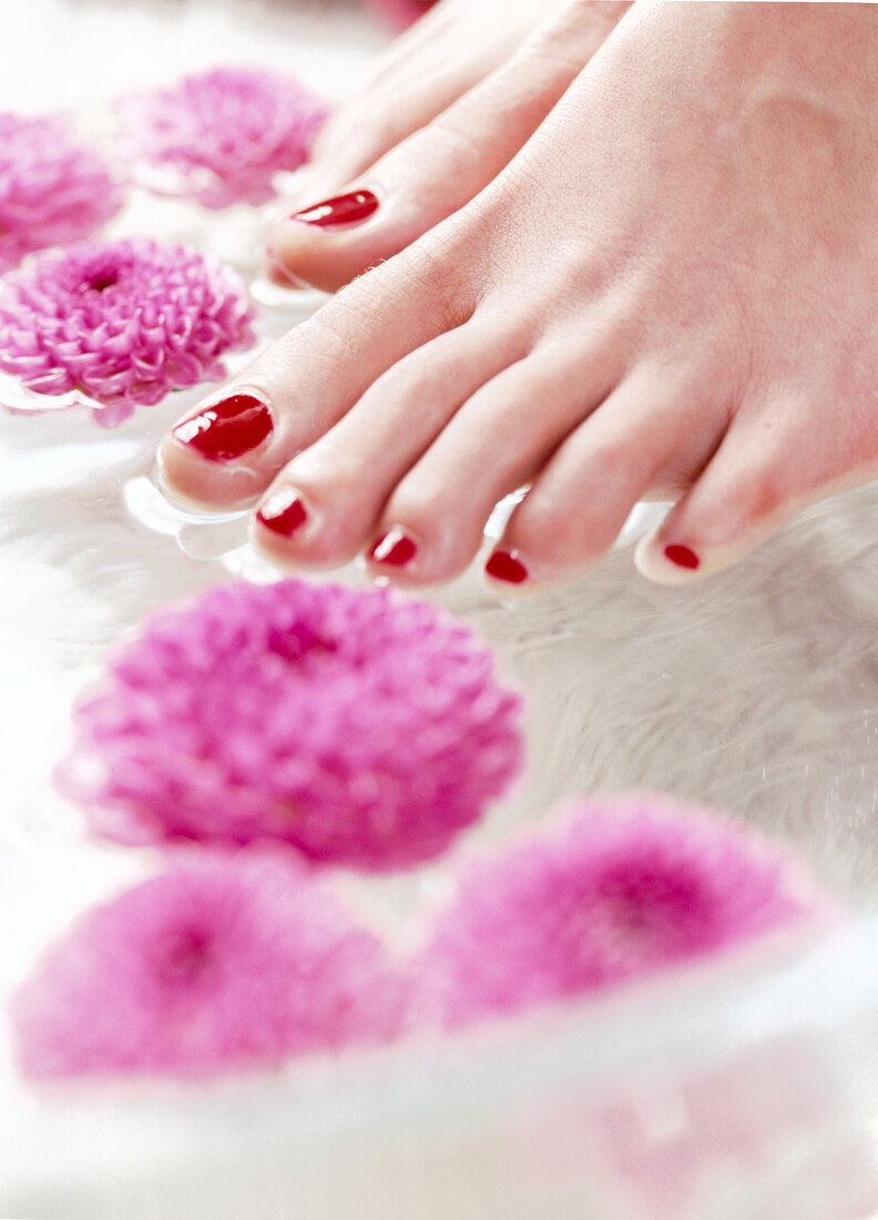Close-up of woman's feet with red painted nails and pink flowers in a bowl of water