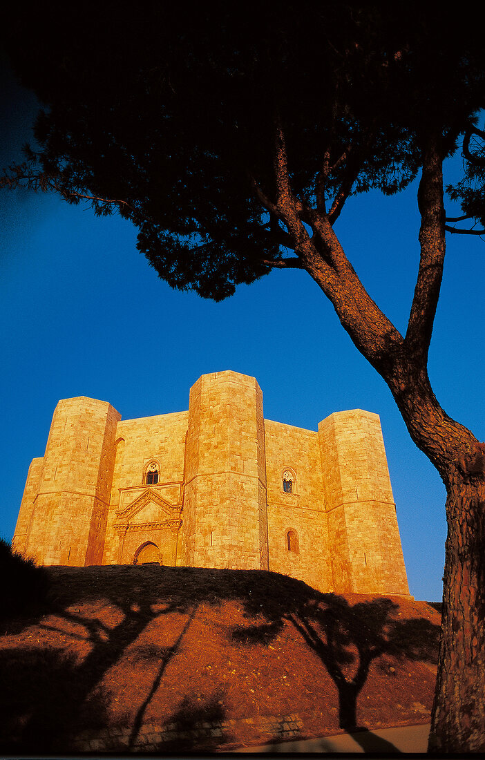 View of Castel del Monte in yellow sunlight, Apulia, Italy