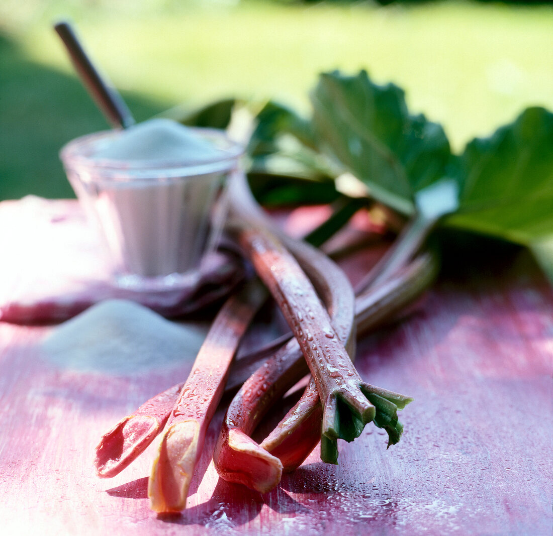 Close-up of rhubarb on the table