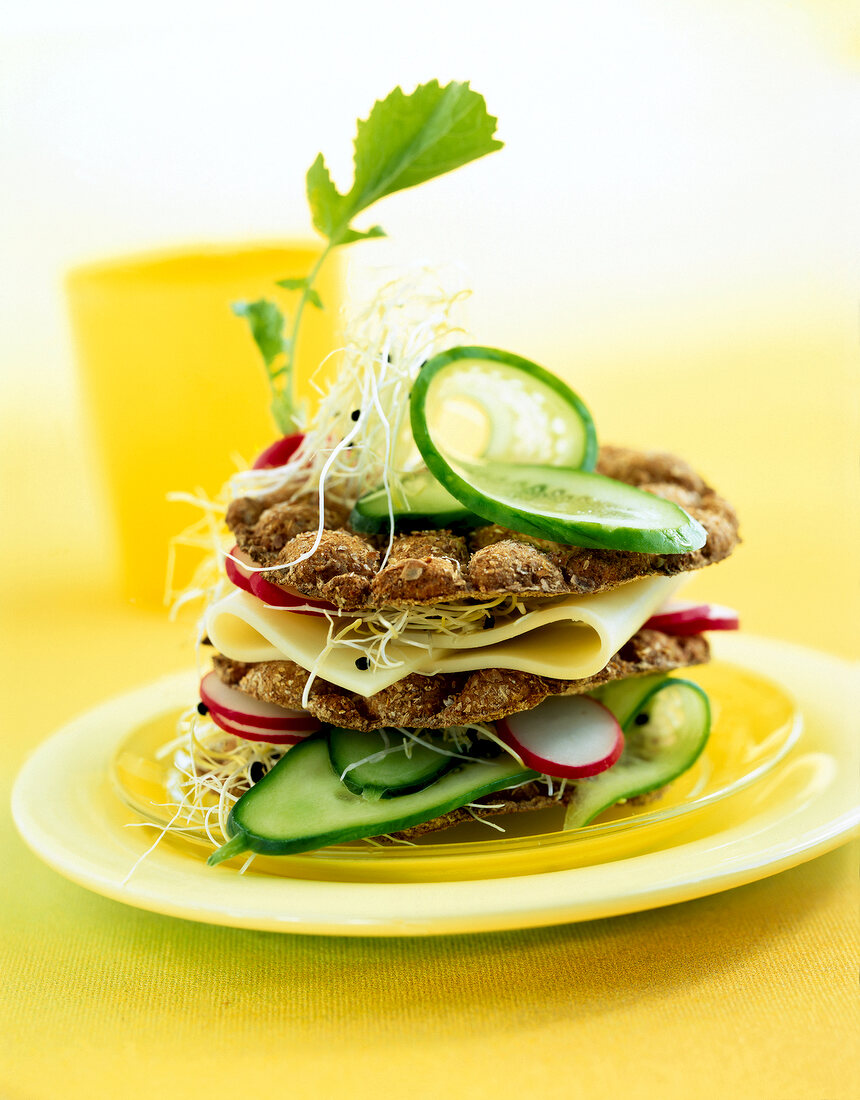 Close-up of crack burger with sprouts on plate