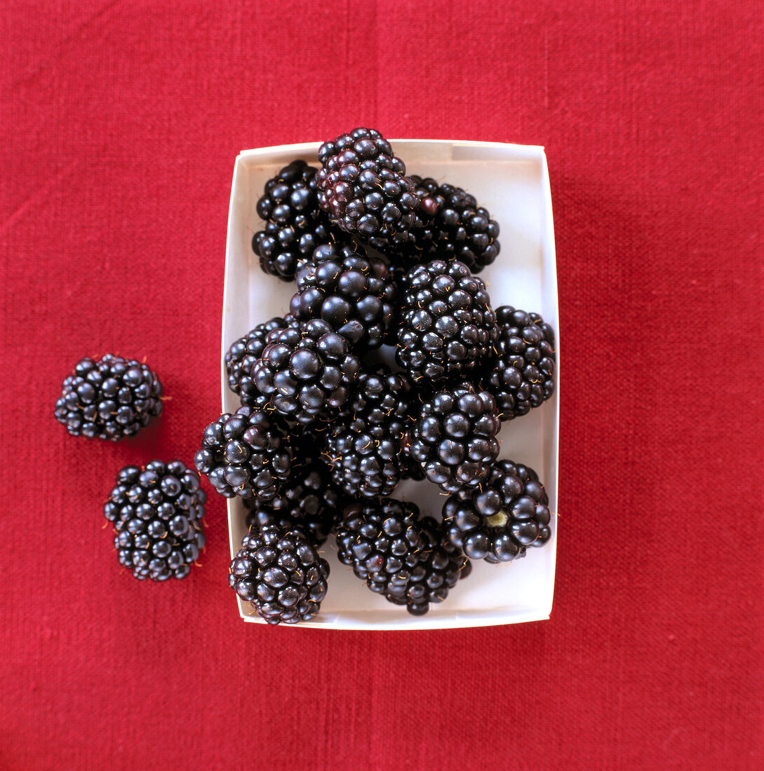 Close-up of blackberries in box against red background