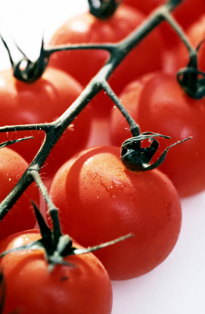 Close-up of fresh cherry tomatoes on vine