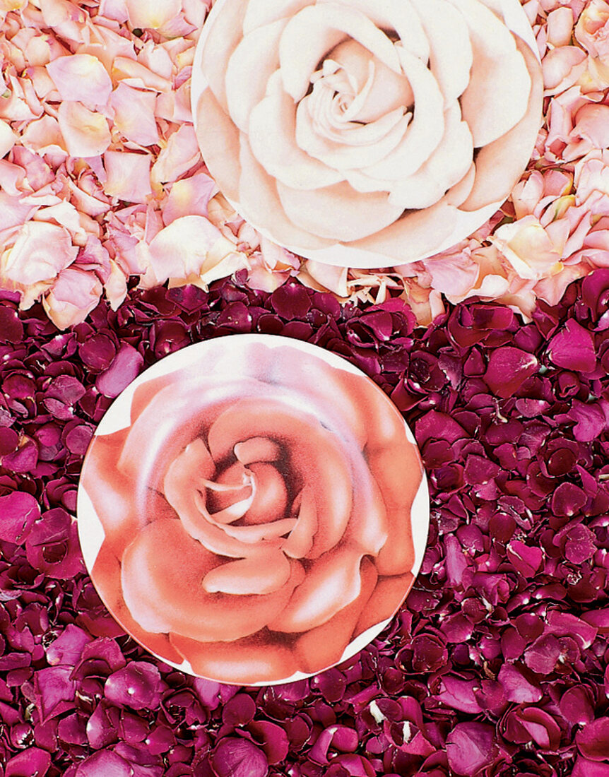 Teller mit Rosendeko stehen auf Rosenblättern