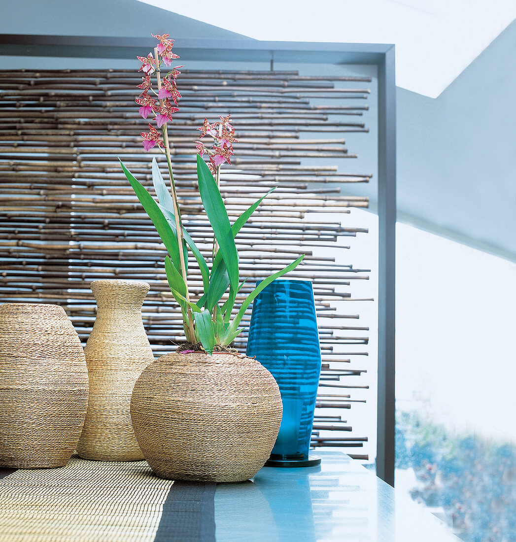 Pflanzenübertopf und Blumenvasen aus Seegras mit Orchideenpflanze