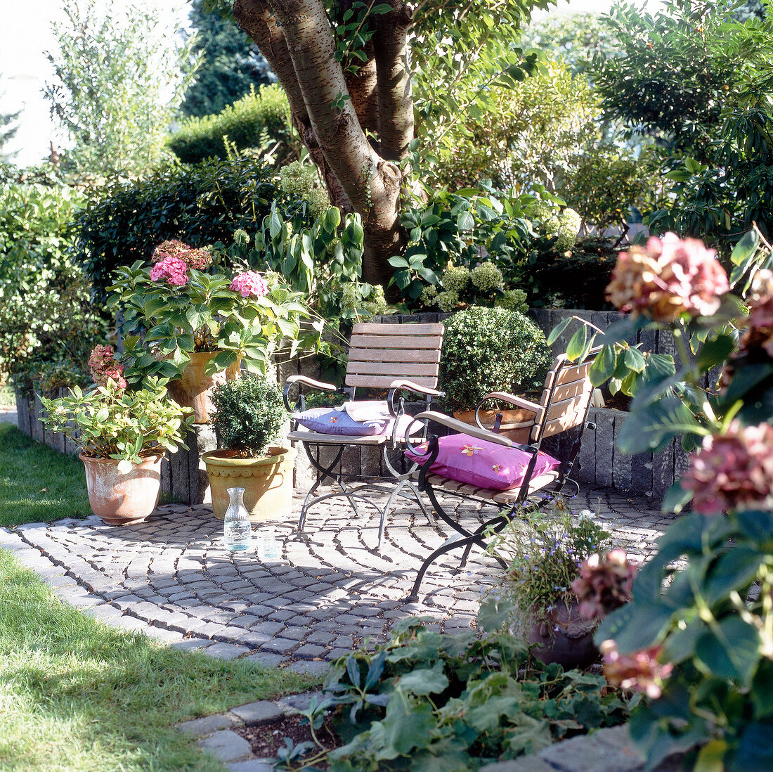 2 Stühle auf gepflastertem Grund in- mitten von Gartenpflanzen