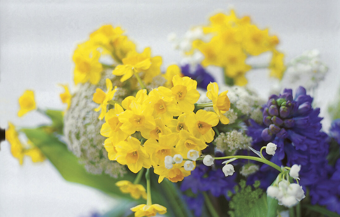 Frühlingsblumen in der Vase, close up + Unschärfe