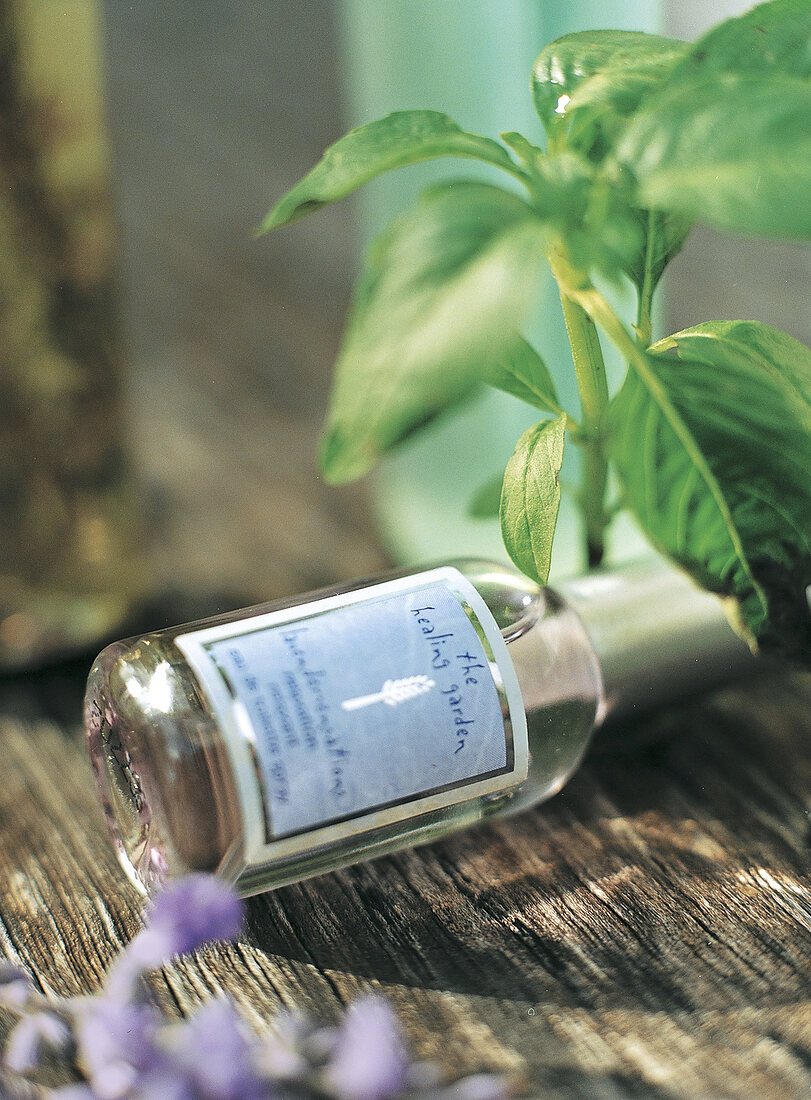 Flasche mit  dem Duft von Lavendelblüten