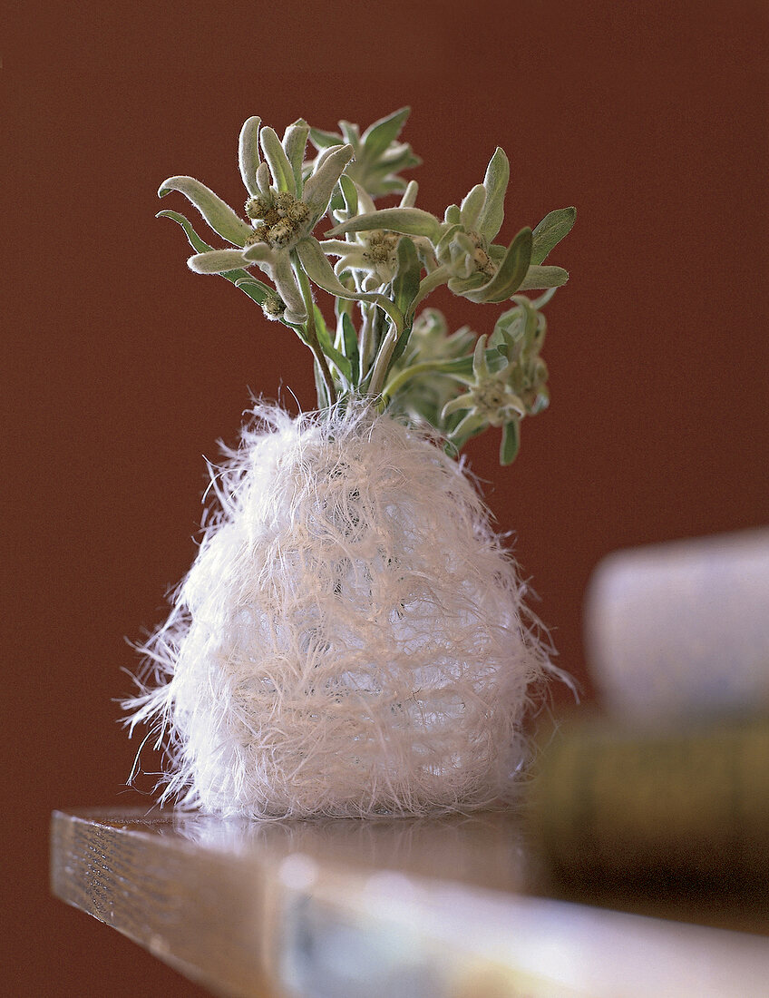 Flauschige Mohairhülle um eine Vase mit Edelweißblüten