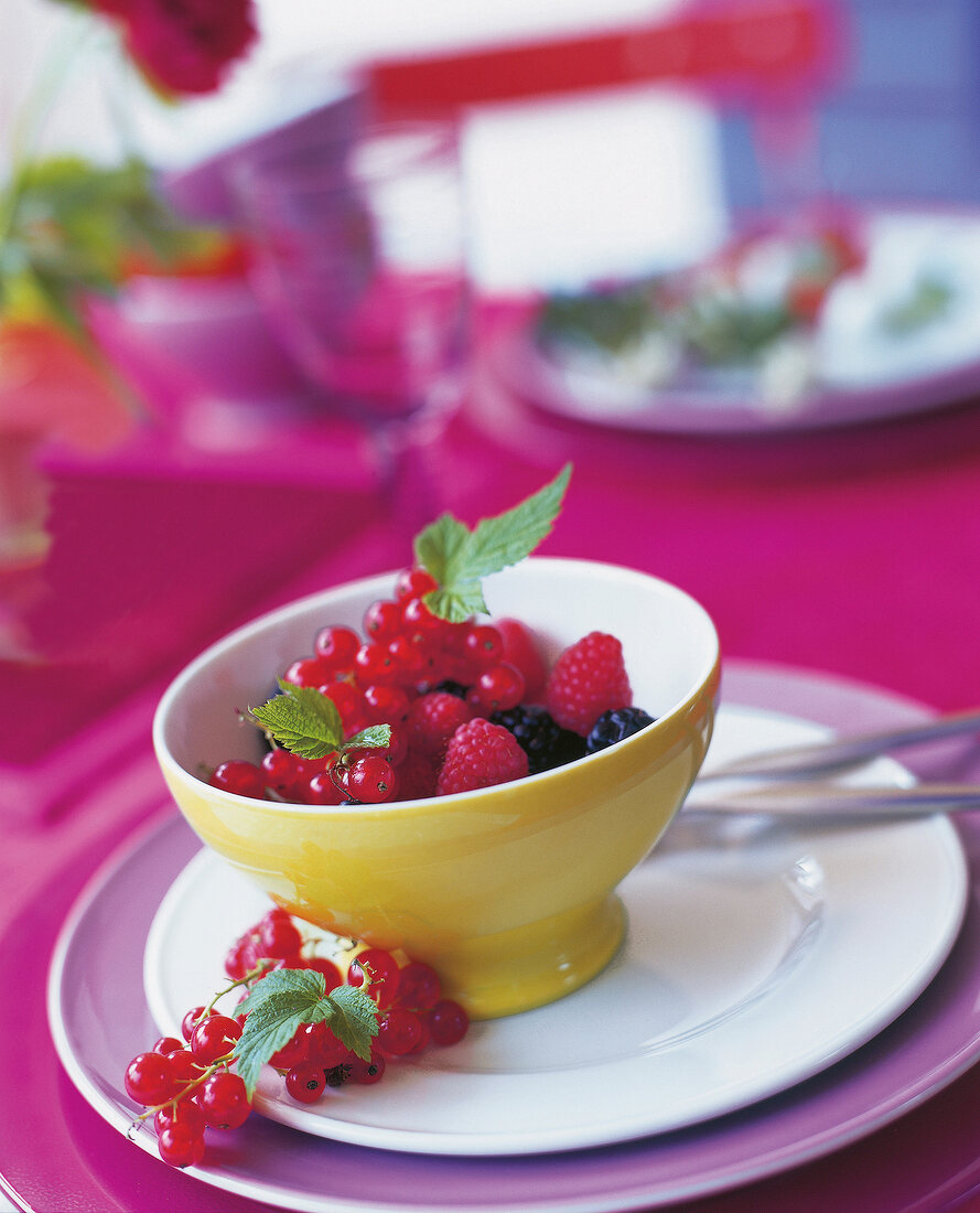 Raspberries, red currants and blackberries in bowl