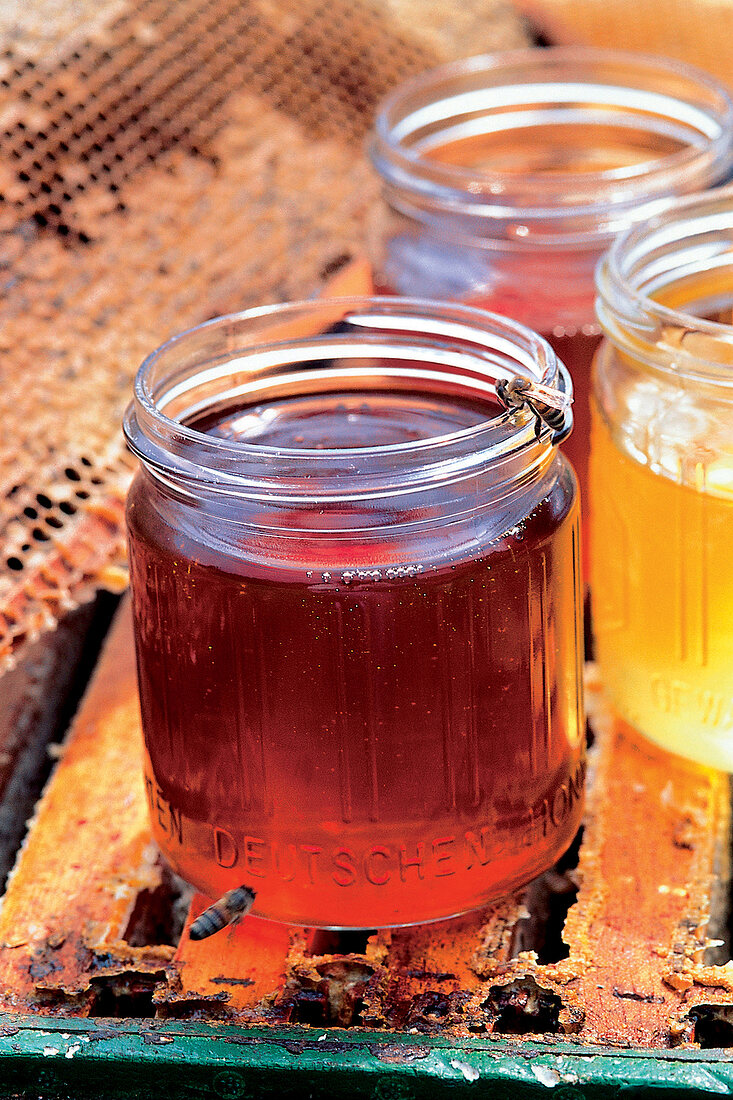 Abgefüllter Honig in Gläsern 