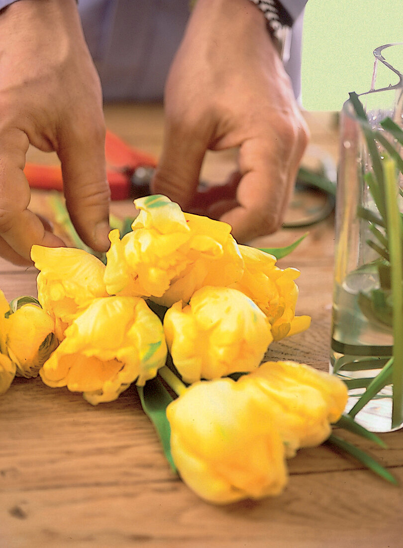 gelbe Tulpen, Step 1 