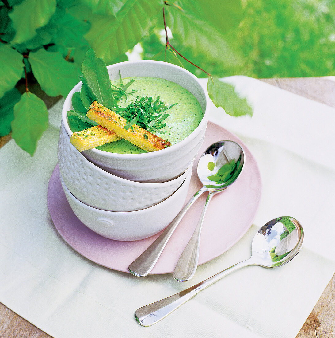 Sauerampfersuppe m. Limettencroutons 