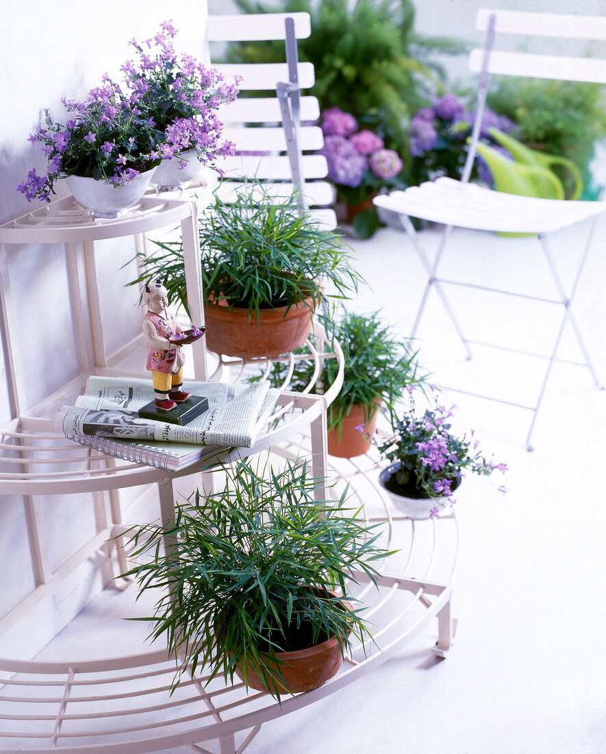 Blumentreppe aus Gusseisen, weiß, mit Topfpflanzen dekoriert