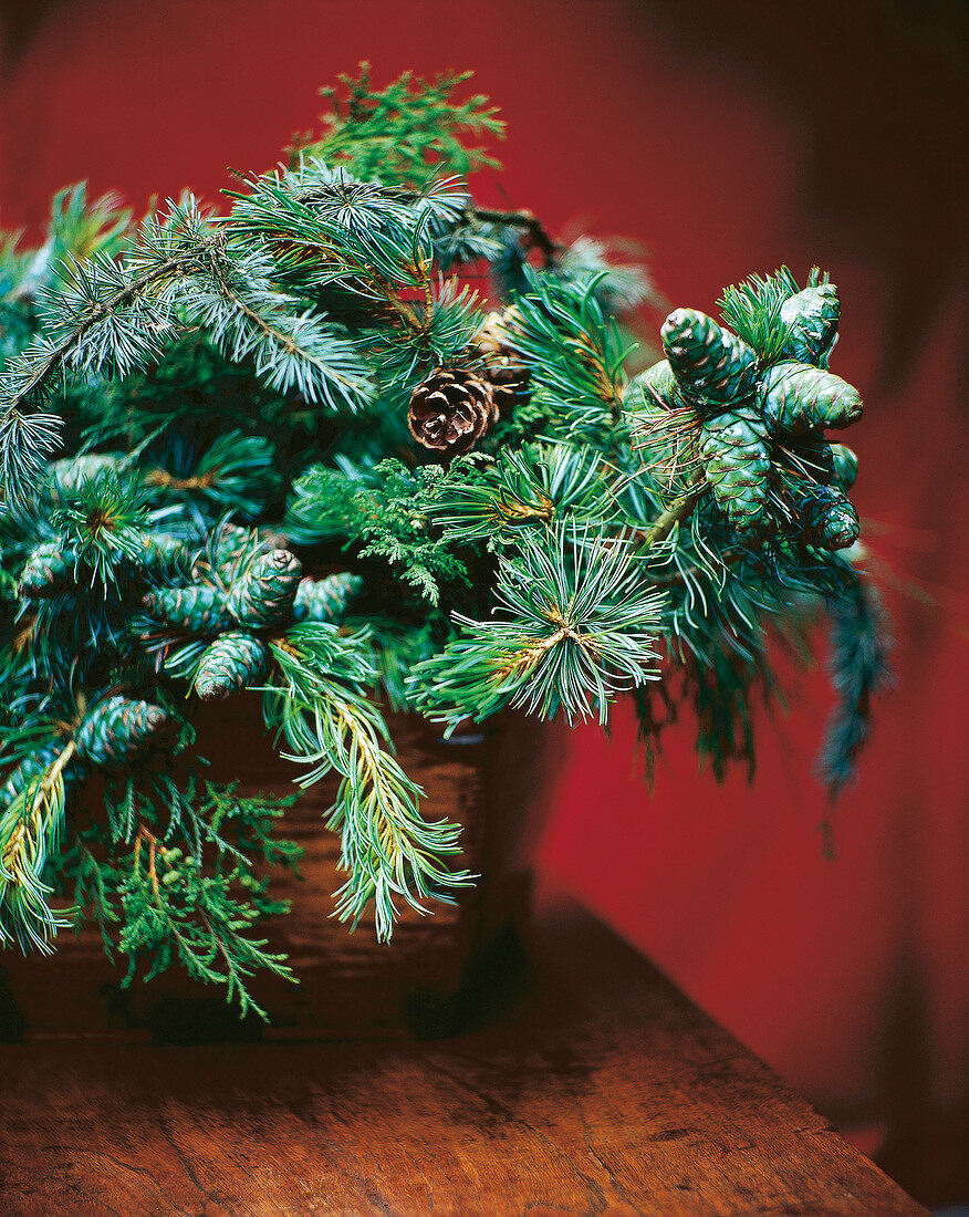 Fir branches and pine cones in pot