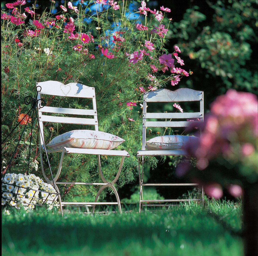 Iron chairs with punched heart motif stand in front of a flowering bush