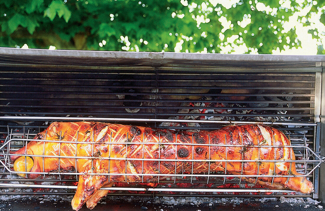 Spanferkel wird gegrillt 