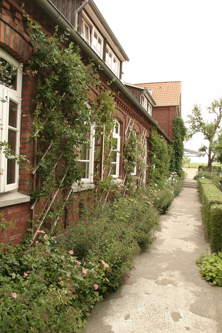 Hof Reinstorf Hotel in Reinstorf außen