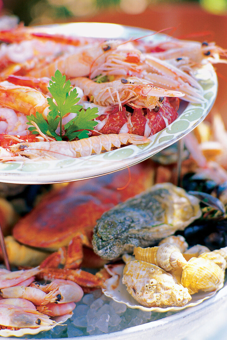 Close-up of seafood platter with mussels and shrimp