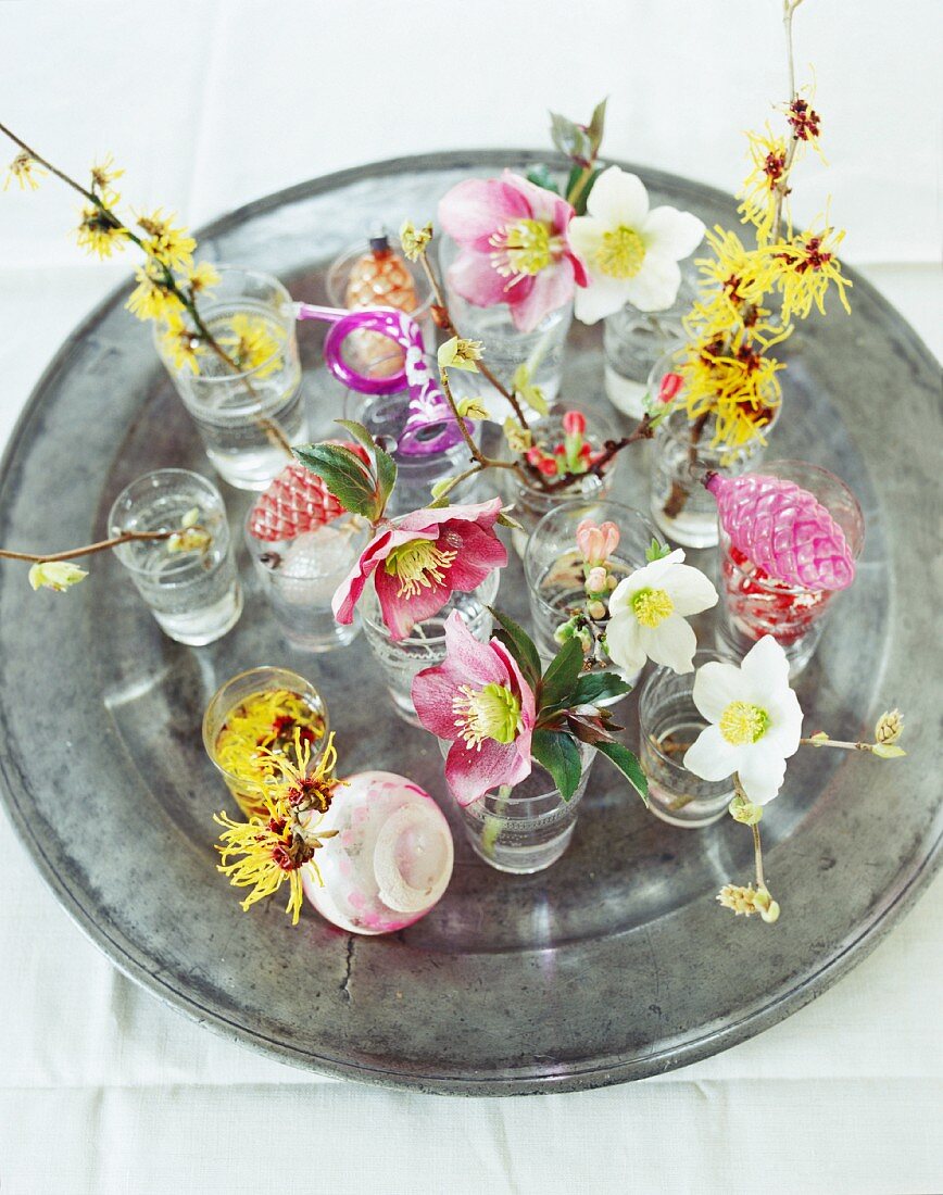 Glasväschen mit verschiedenen winterlichen Blütenzweigen auf Zinnteller