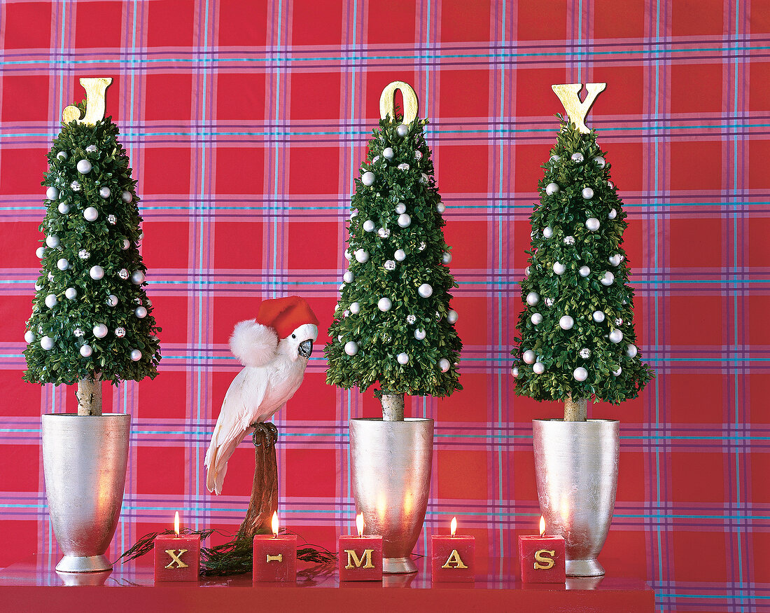 Buchsbaumgestecke in silbernen Topf mit Papagei und Buchstaben-Kerzen