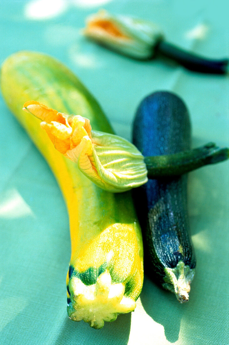 Close-up yellow and green zucchini