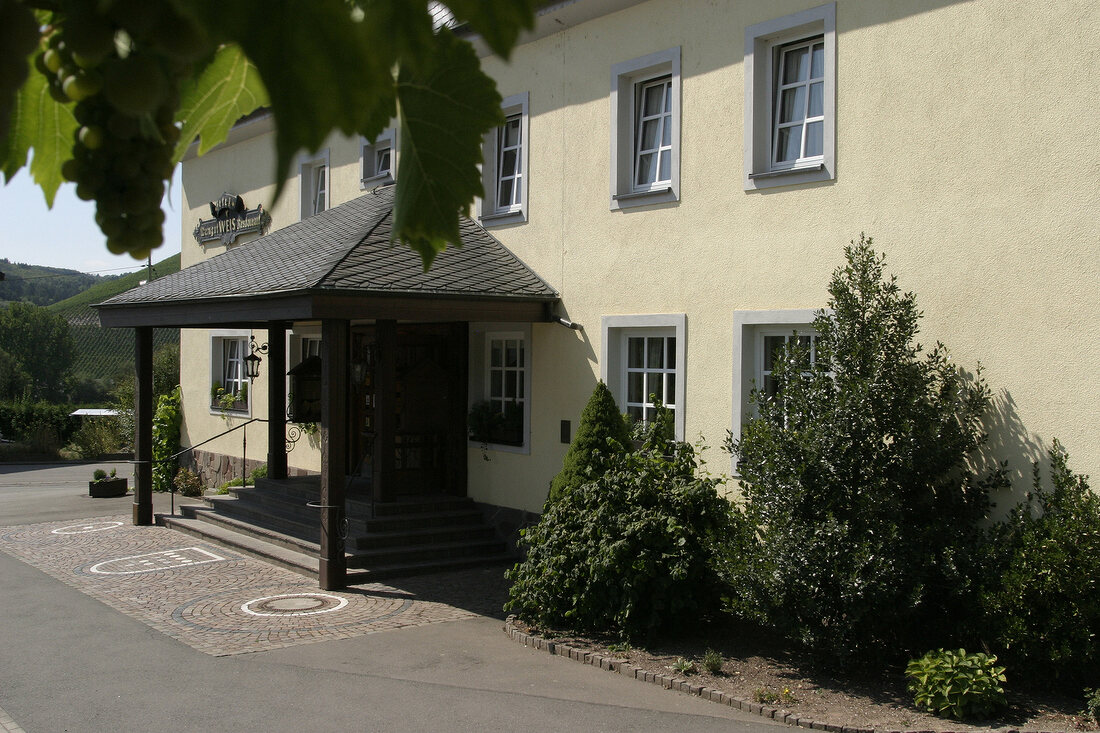 Erben von Beulwitz Weingut mit Restaurant in Mertesdorf Rheinland-Pfalz Deutschland